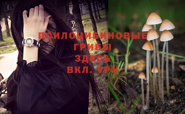 mdpv Касимов