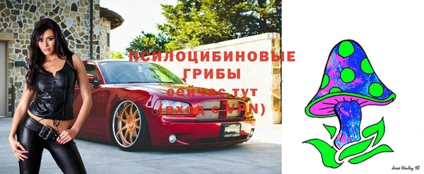 mdpv Касимов
